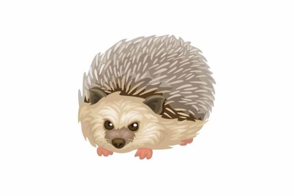 The Hedgehog Character Mascot: A Guide to Its Design and Use